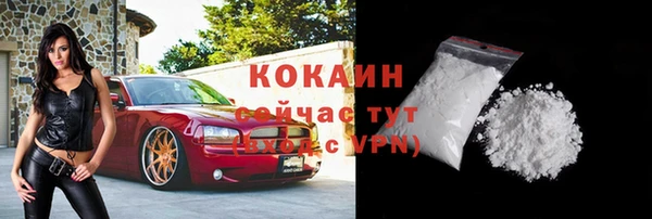 мдпв Богородск