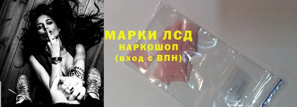 мдпв Богородск