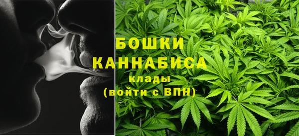 мдпв Богородск