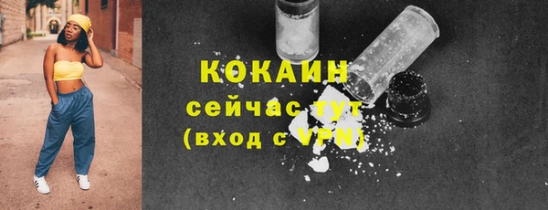 мдпв Богородск