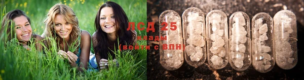 трава Богданович