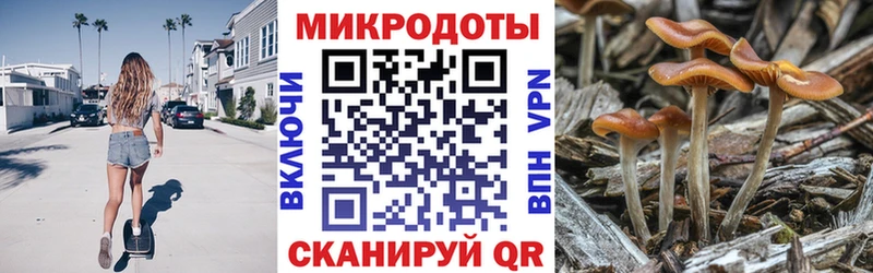 Псилоцибиновые грибы GOLDEN TEACHER  Дорогобуж 